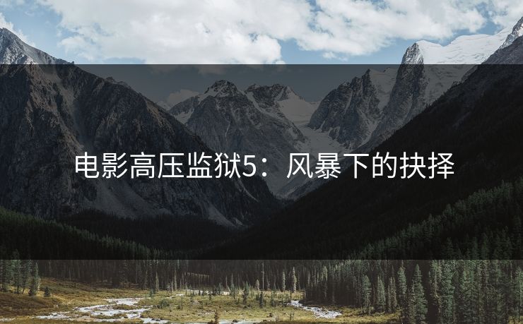 电影高压监狱5：风暴下的抉择