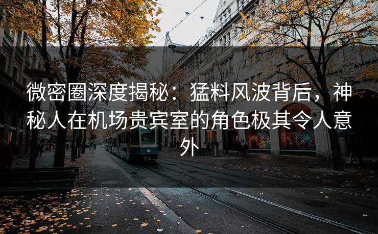微密圈深度揭秘：猛料风波背后，神秘人在机场贵宾室的角色极其令人意外