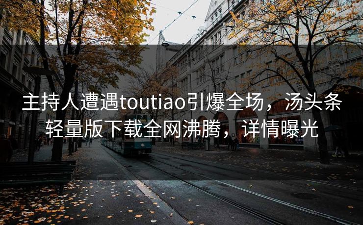 主持人遭遇toutiao引爆全场，汤头条轻量版下载全网沸腾，详情曝光