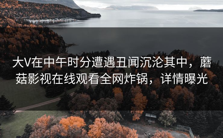 大V在中午时分遭遇丑闻沉沦其中，蘑菇影视在线观看全网炸锅，详情曝光