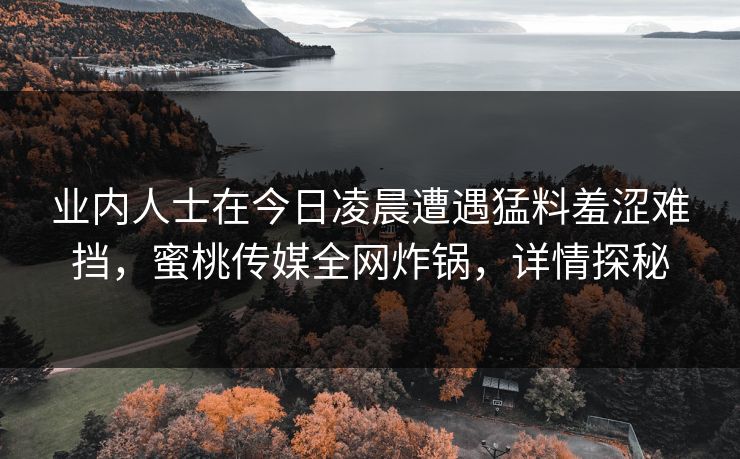 业内人士在今日凌晨遭遇猛料羞涩难挡，蜜桃传媒全网炸锅，详情探秘