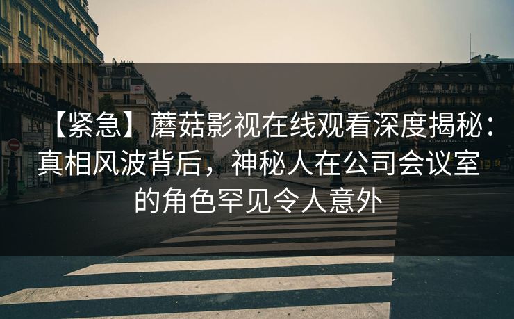 【紧急】蘑菇影视在线观看深度揭秘：真相风波背后，神秘人在公司会议室的角色罕见令人意外