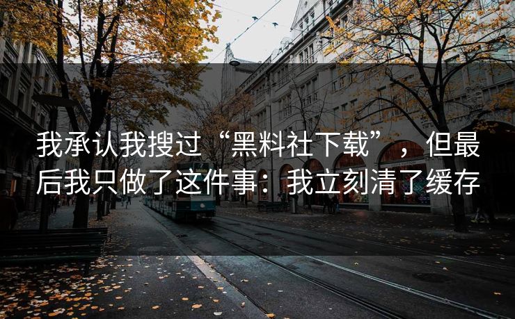 我承认我搜过“黑料社下载”，但最后我只做了这件事：我立刻清了缓存
