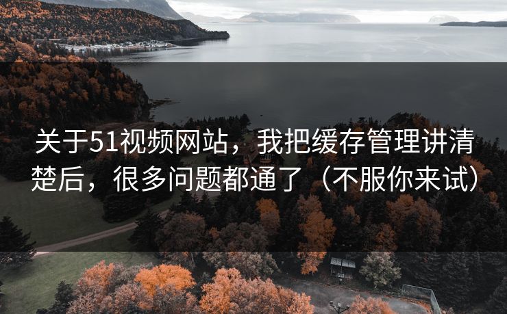 关于51视频网站，我把缓存管理讲清楚后，很多问题都通了（不服你来试）